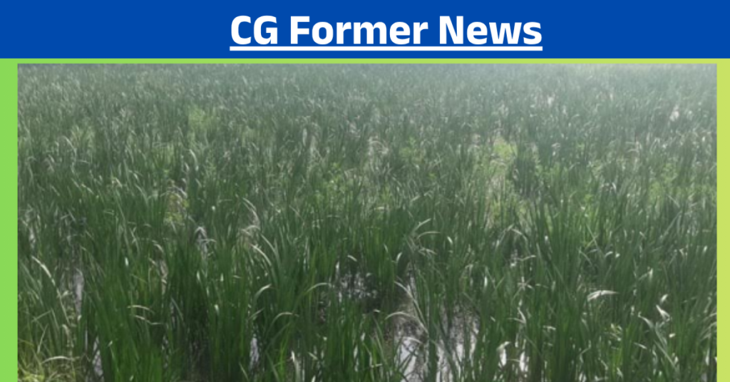 CG Former News 